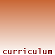 Curriculum